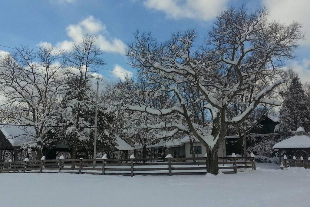 Bourbon Trail Cabin On The Farm Lawrenceburg Exterior foto